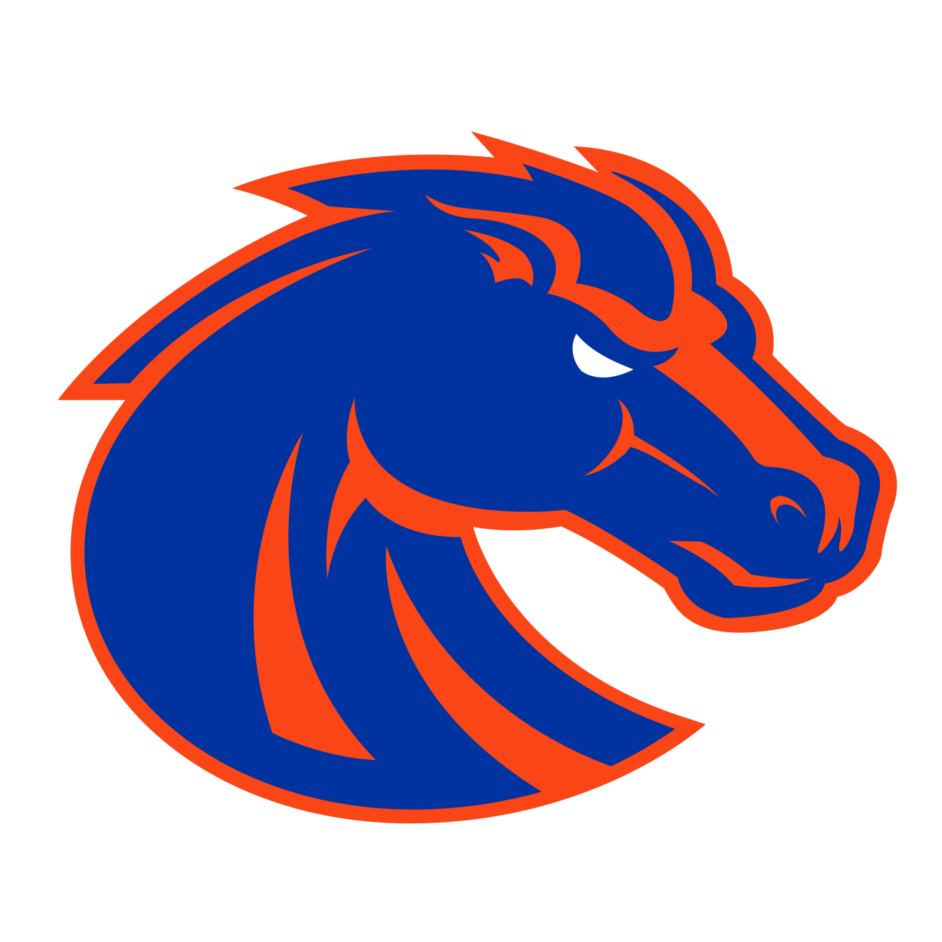 Boise State University