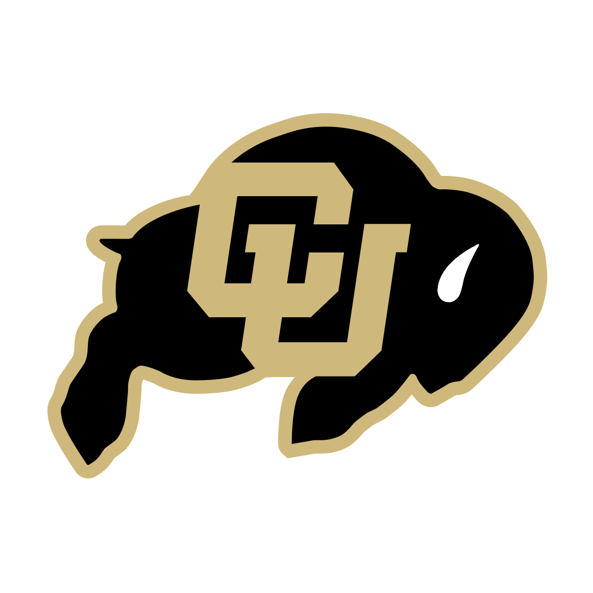University of Colorado
