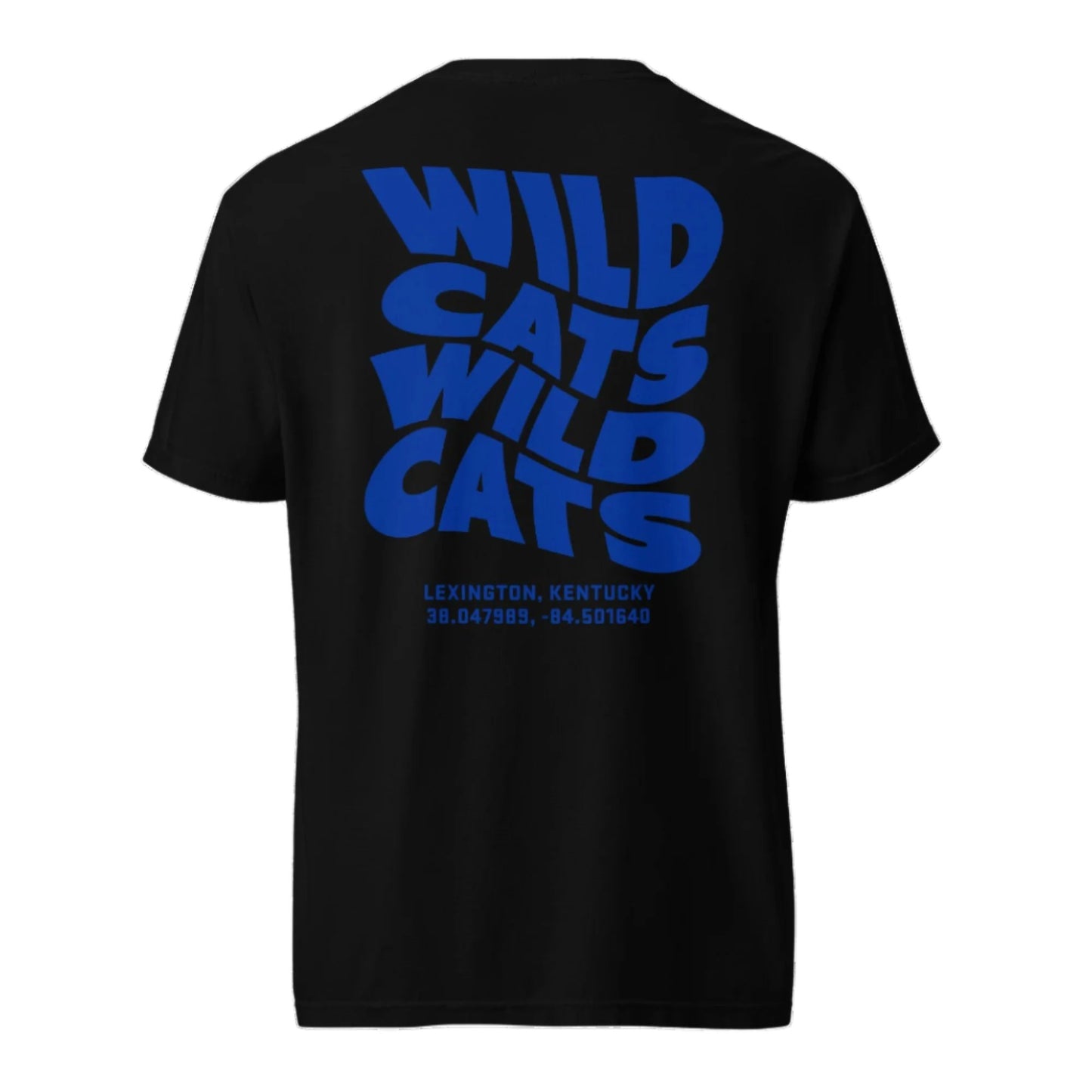 WILDCATS Wave Tee | University of Kentucky