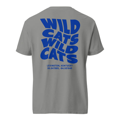 WILDCATS Wave Tee | University of Kentucky